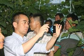 好色先生污下载镇党建联盟葡萄网格化管理在巡查中发现葡萄大量落果